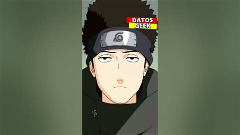 los ojos de shino aburame|shino aburame death.